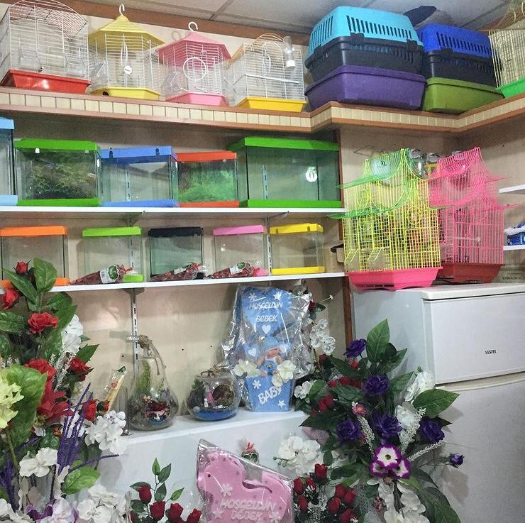 ENT Çiçekçilik ve Petshop