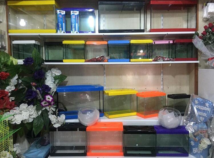 ENT Çiçekçilik ve Petshop
