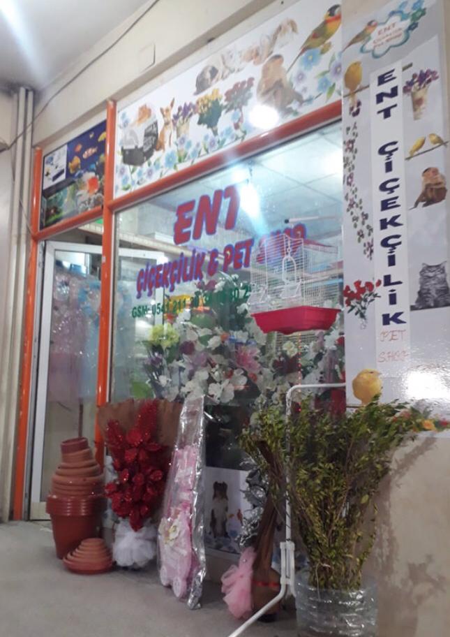 Ent Çiçekçilik Ve Petshop kır düğünü mekanı — Merkez