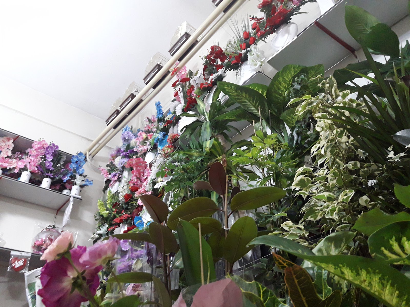 Kardelen Florist