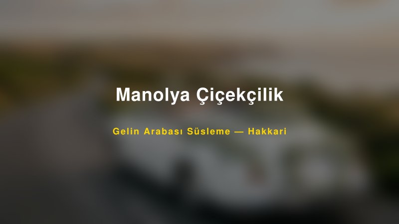 Manolya Çiçekçilik Gelin Arabası Süsleme Fiyatları